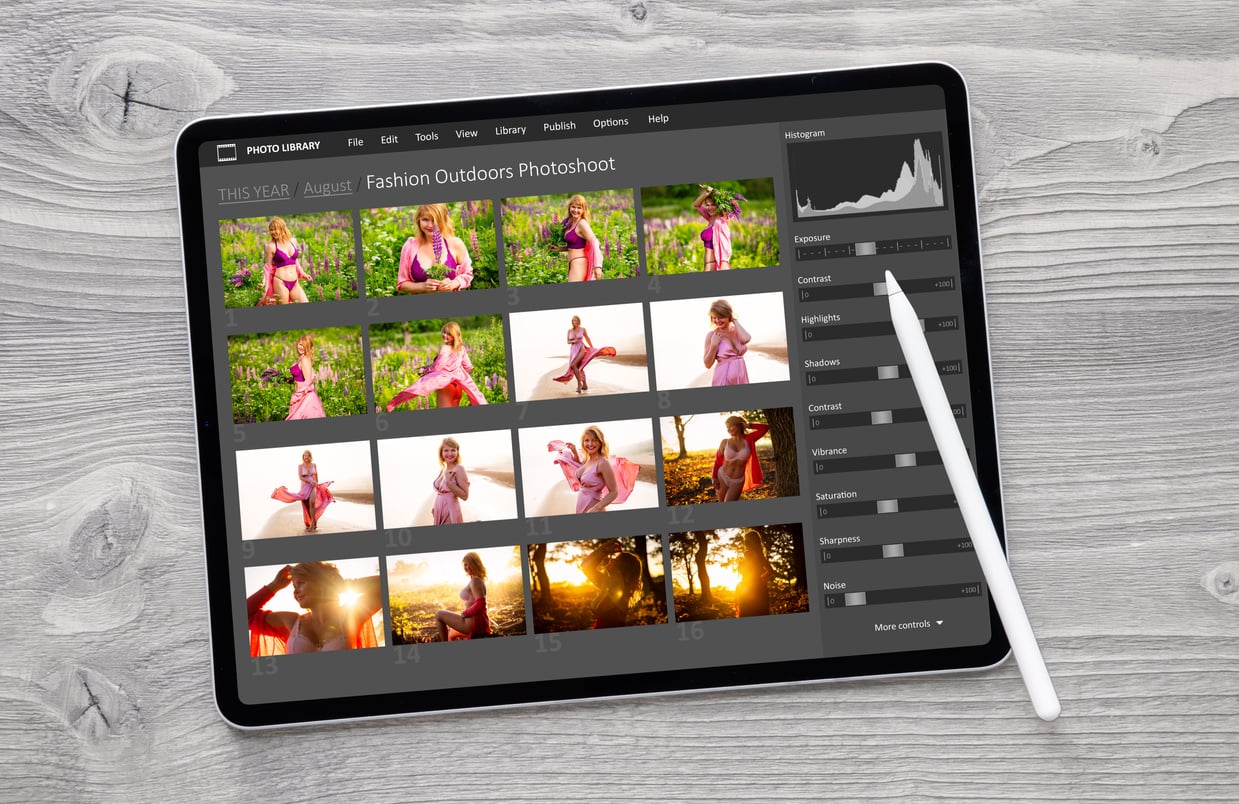 Digital Photo Files Library on Tablet